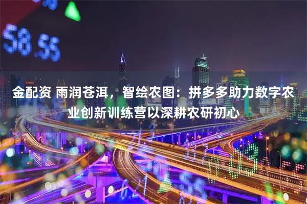 金配资 雨润苍洱，智绘农图：拼多多助力数字农业创新训练营以深耕农研初心