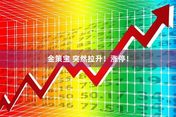 金策宝 突然拉升！涨停！