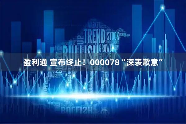 盈利通 宣布终止！000078“深表歉意”