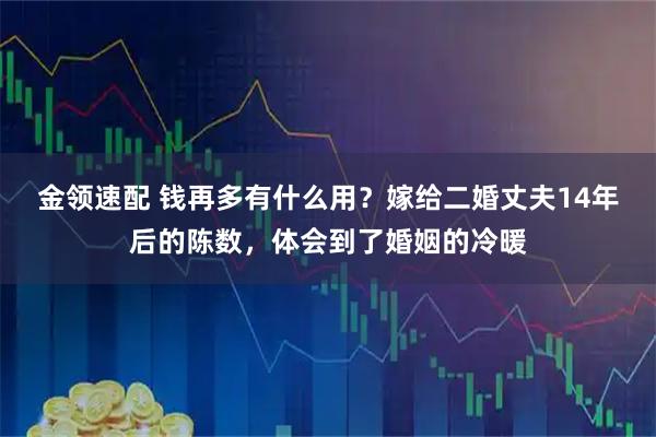 金领速配 钱再多有什么用？嫁给二婚丈夫14年后的陈数，体会到了婚姻的冷暖
